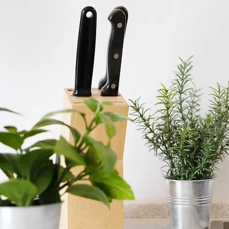 Appartement Cismarer Strasse 32 Sonne Und Wind 1